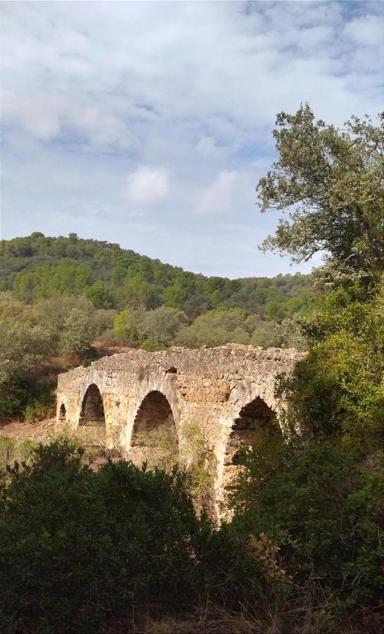 Willa Bonita Casa Blanca En El Bosque. Kordoba Zewnętrze zdjęcie