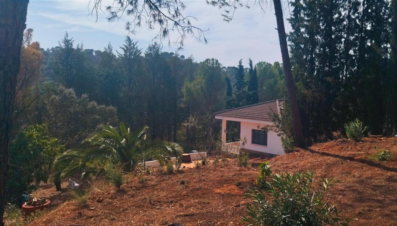 Willa Bonita Casa Blanca En El Bosque. Kordoba Zewnętrze zdjęcie