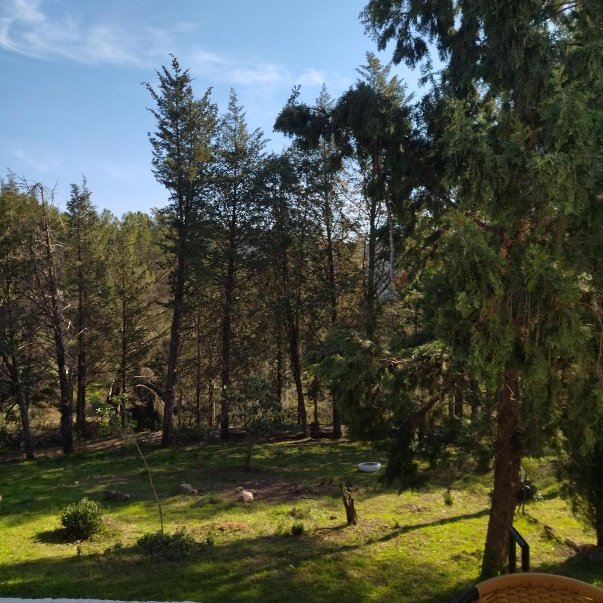 Willa Bonita Casa Blanca En El Bosque. Kordoba Zewnętrze zdjęcie
